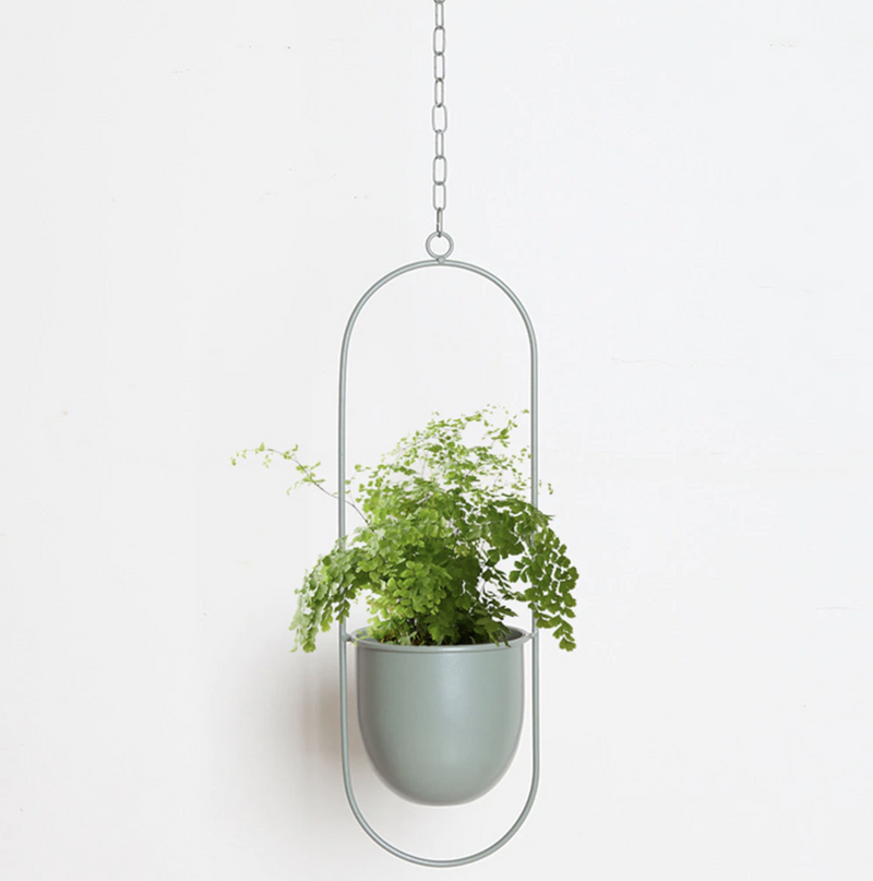 FloraFrame Wall Plant Holder – Stylish and Contemporary for Your Green Beauty