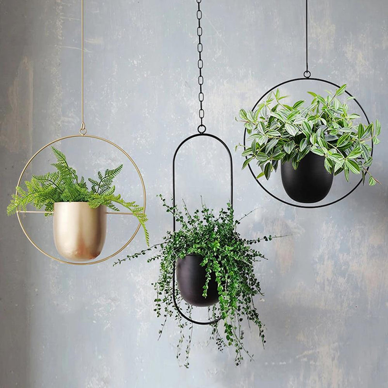 FloraFrame Wall Plant Holder – Stylish and Contemporary for Your Green Beauty