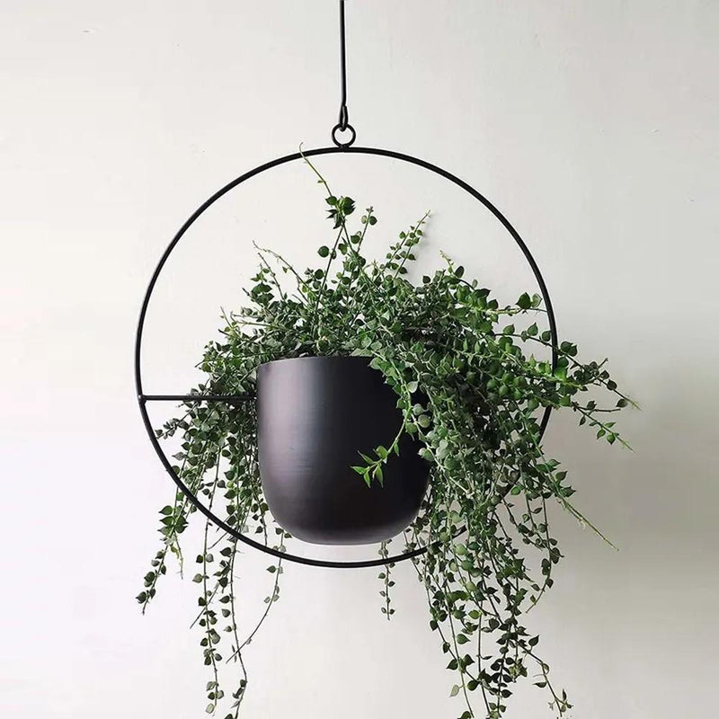 FloraFrame Wall Plant Holder – Stylish and Contemporary for Your Green Beauty