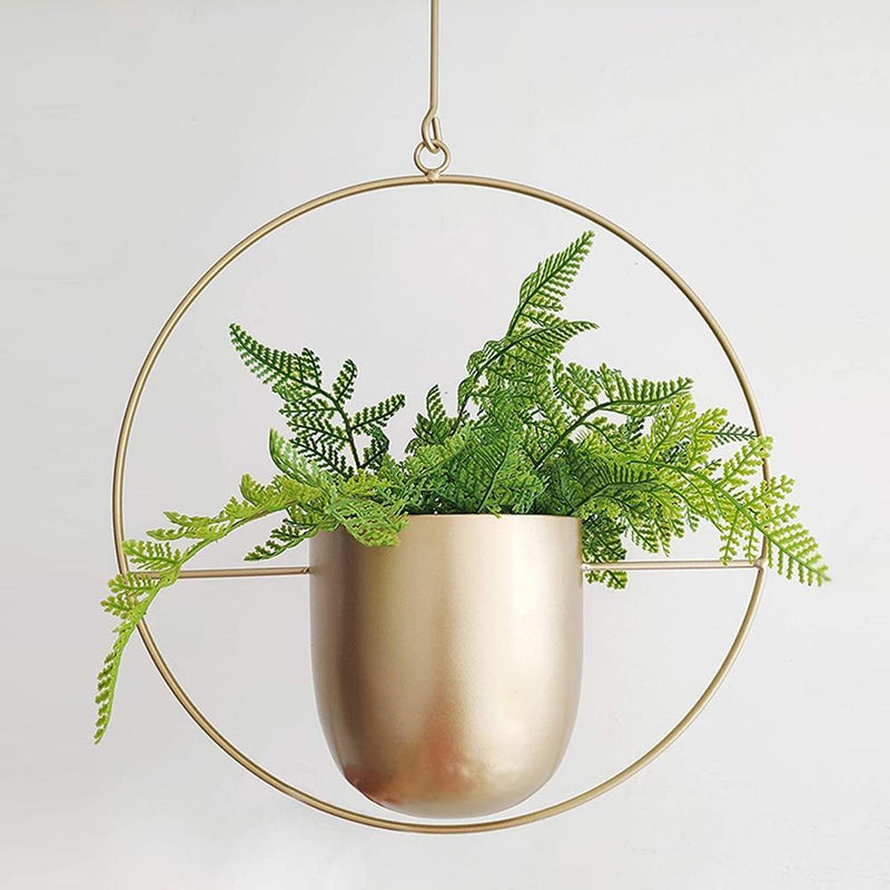 FloraFrame Wall Plant Holder – Stylish and Contemporary for Your Green Beauty