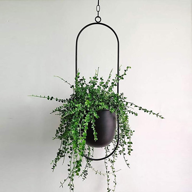 FloraFrame Wall Plant Holder – Stylish and Contemporary for Your Green Beauty